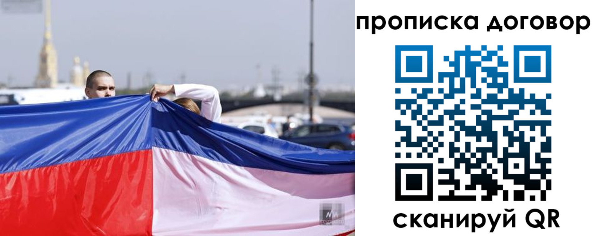 прописка гарантия в Вязьме