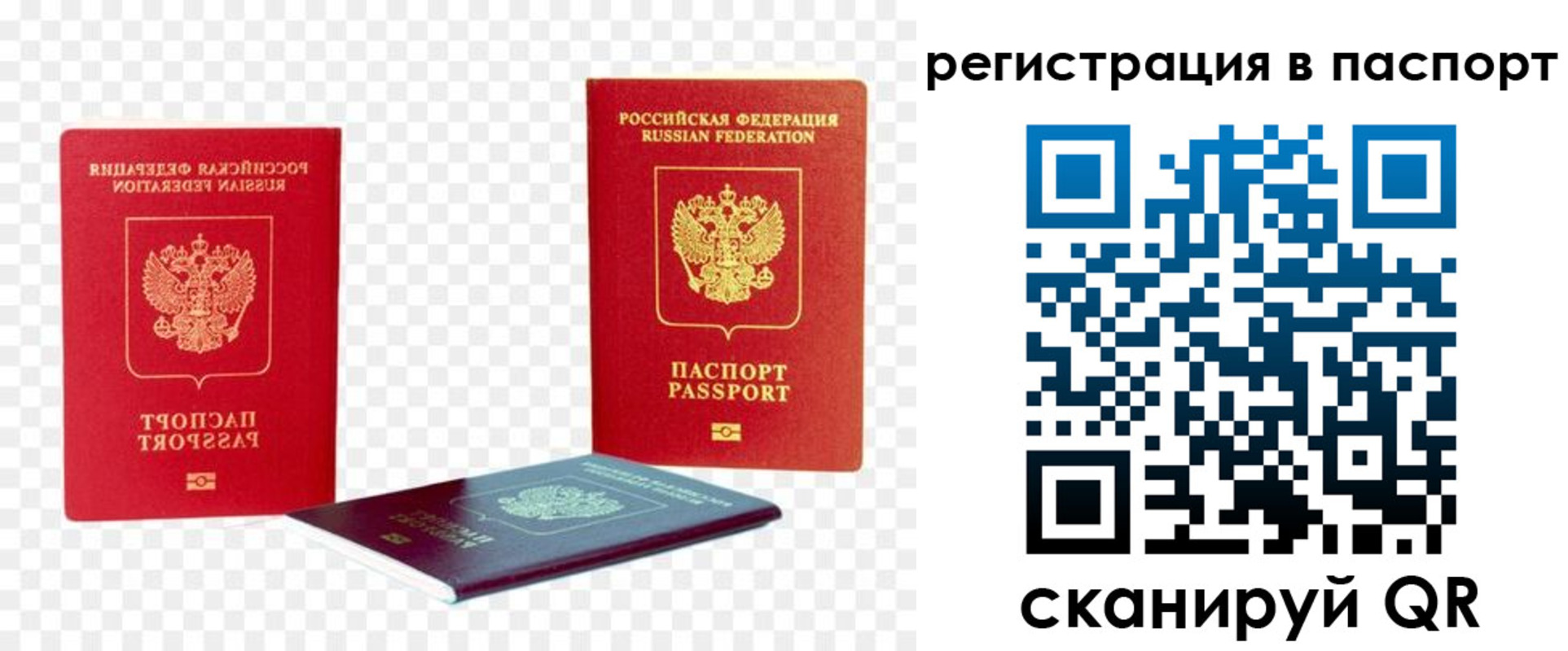 временная регистрация поиск в Вязьме